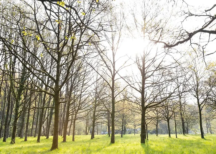 Ferienhaus 2 Pers Renove En Bord De Sevre Avec Cuisine Equipee Et Exterieur Partage - Fr-1-426-482 Mortagne-sur-Sevre